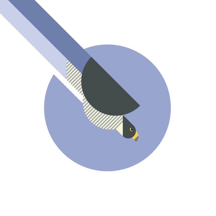 700x700 Peregrine Falcon Vector Illustration Comforters
