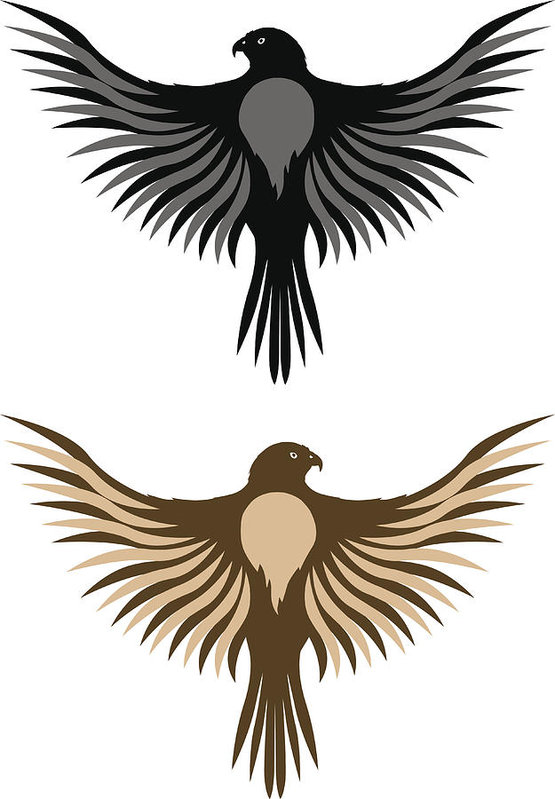 555x799 Falcon Vector Art Print