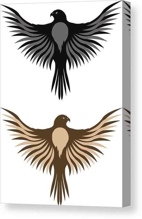 480x740 Falcon Vector Canvas Print Canvas Art
