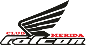 300x158 Falcon Logo Vectors Free Download