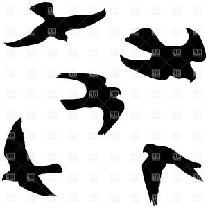 300x300 Falcon Vector Falcon Icon Silhouette Vector Illustration Falcon