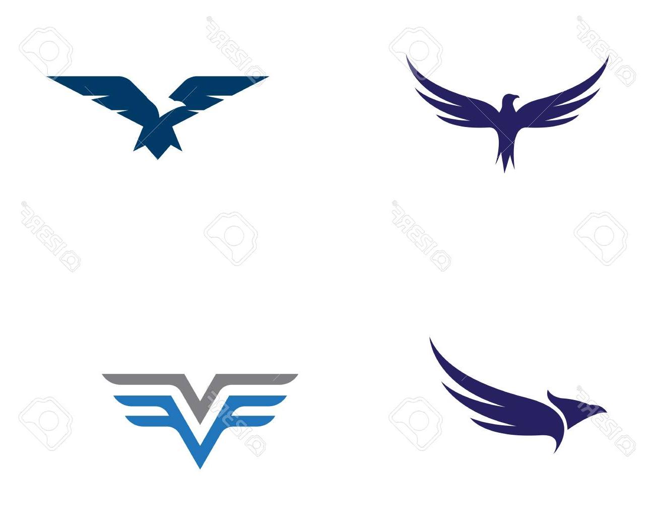 1300x1040 Best Hd Falcon Logo Template Vector Illustration Design Drawing