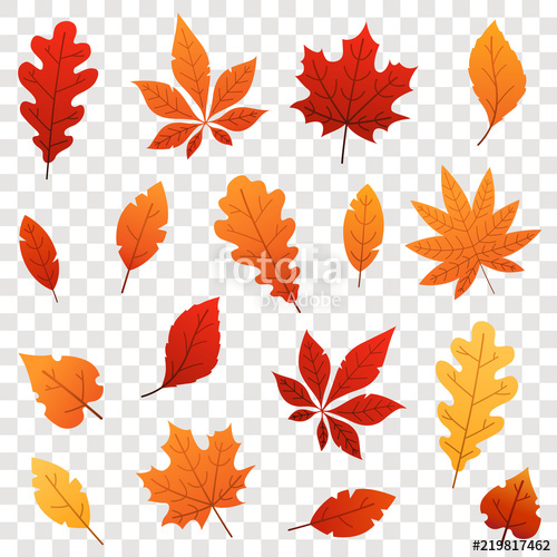 Colorful Autumn Falling Leaves Isolated On Transparent Background 500x500 Colorful Autumn Falling Leaves Isolated On Transparent Background