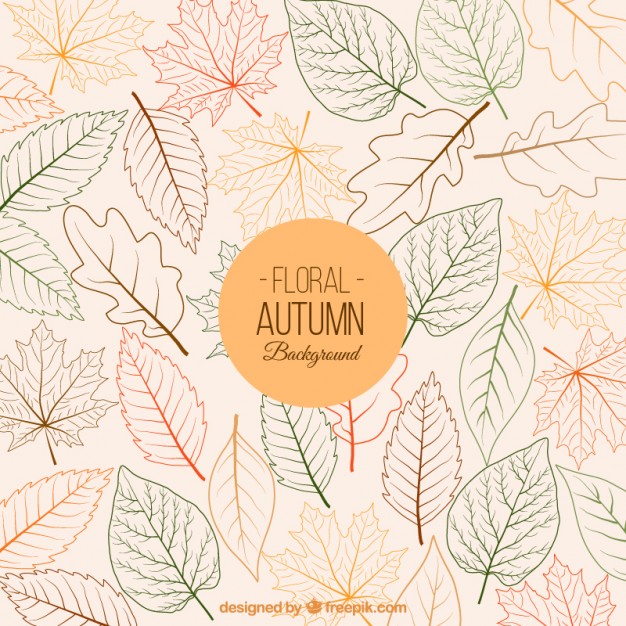 Floral Autumn Background Vector Free Download 626x626 Floral Autumn Background Vector Free Download