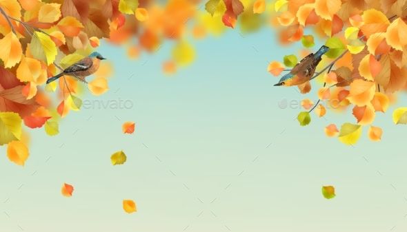 Vector Autumn Landscape With Tree Branches, Falling Leaves 590x337 Vector Autumn Landscape With Tree Branches, Falling Leaves