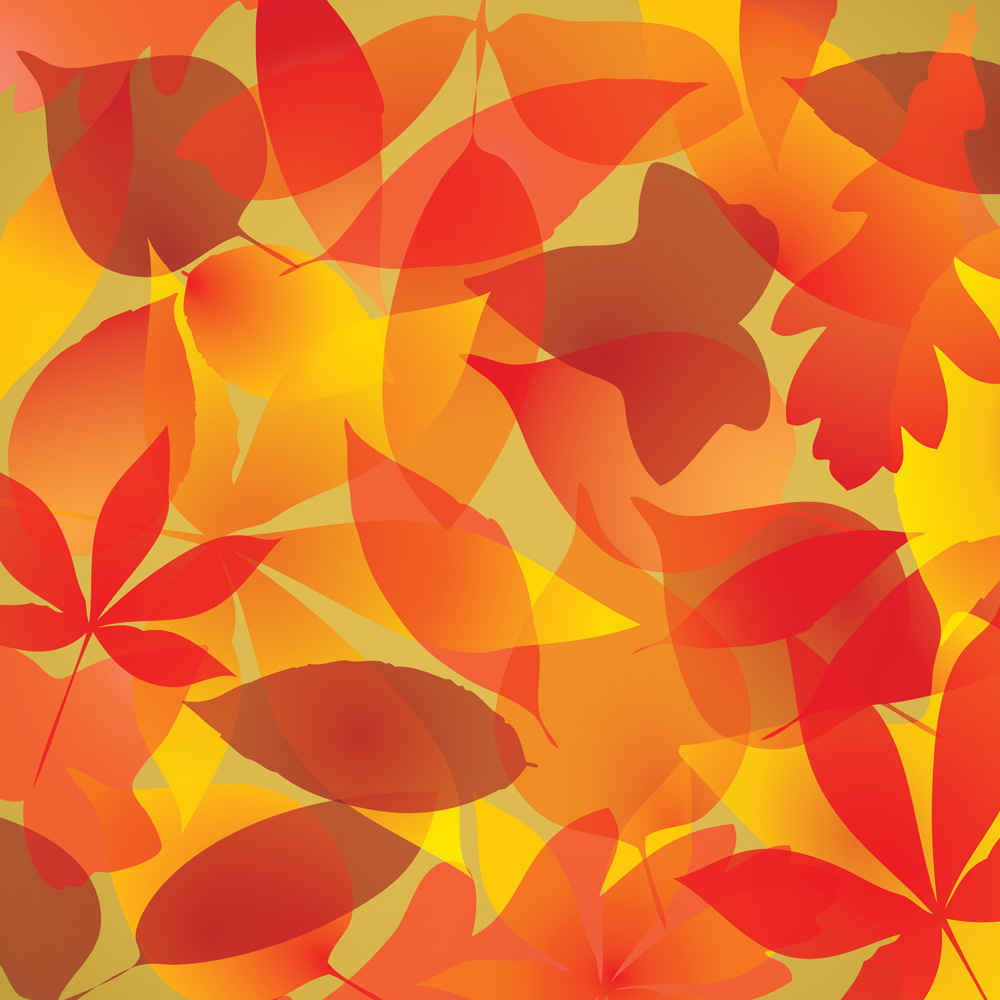 Autumn Leaves Background Free Vector Background Download 1000x1000 Autumn Leaves Background Free Vector Background Download
