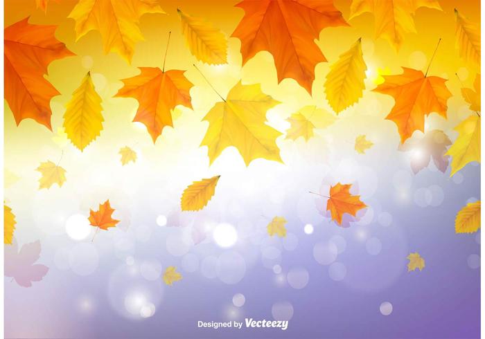 Autumn Leaves Background 700x490 Autumn Leaves Background