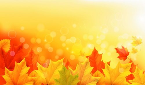 Autumn Leaves Background Free Vector Download 500x293 Autumn Leaves Background Free Vector Download