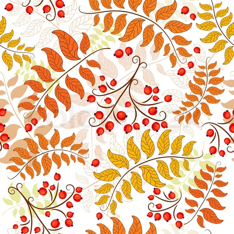 800x800 Autumn Seamless Decorative Floral Stock Vector Colourbox