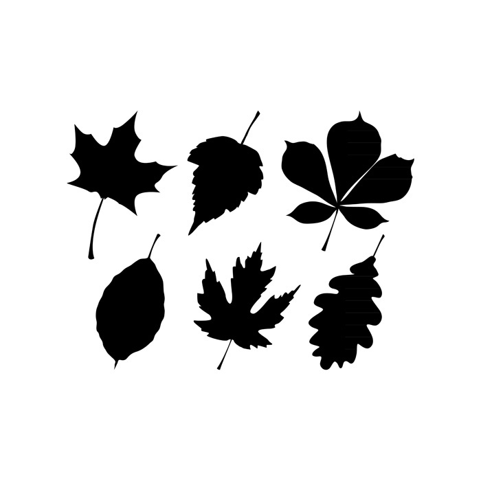 700x700 Collection Of 'fall Leaf Silhouette' Download More Than Images