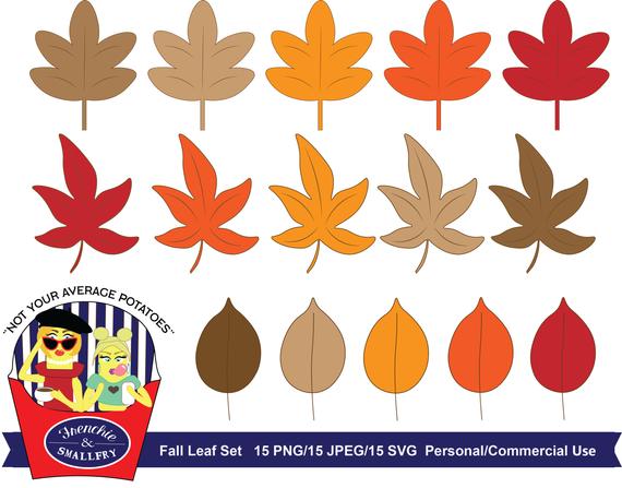 570x447 Fall Leaves Clipart Set Clipart Fall Leaf Vector Fall Etsy
