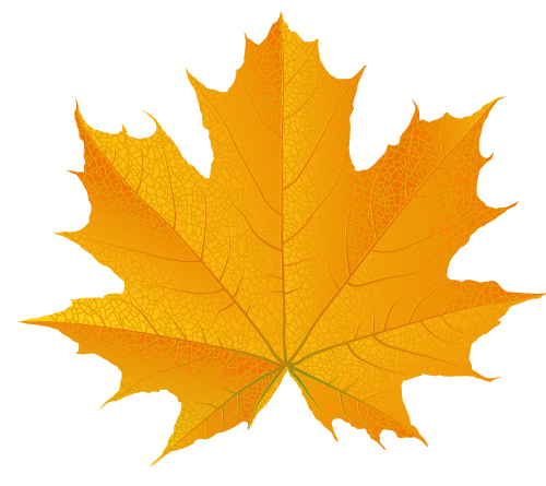 500x445 Fall Leaf Vector Images