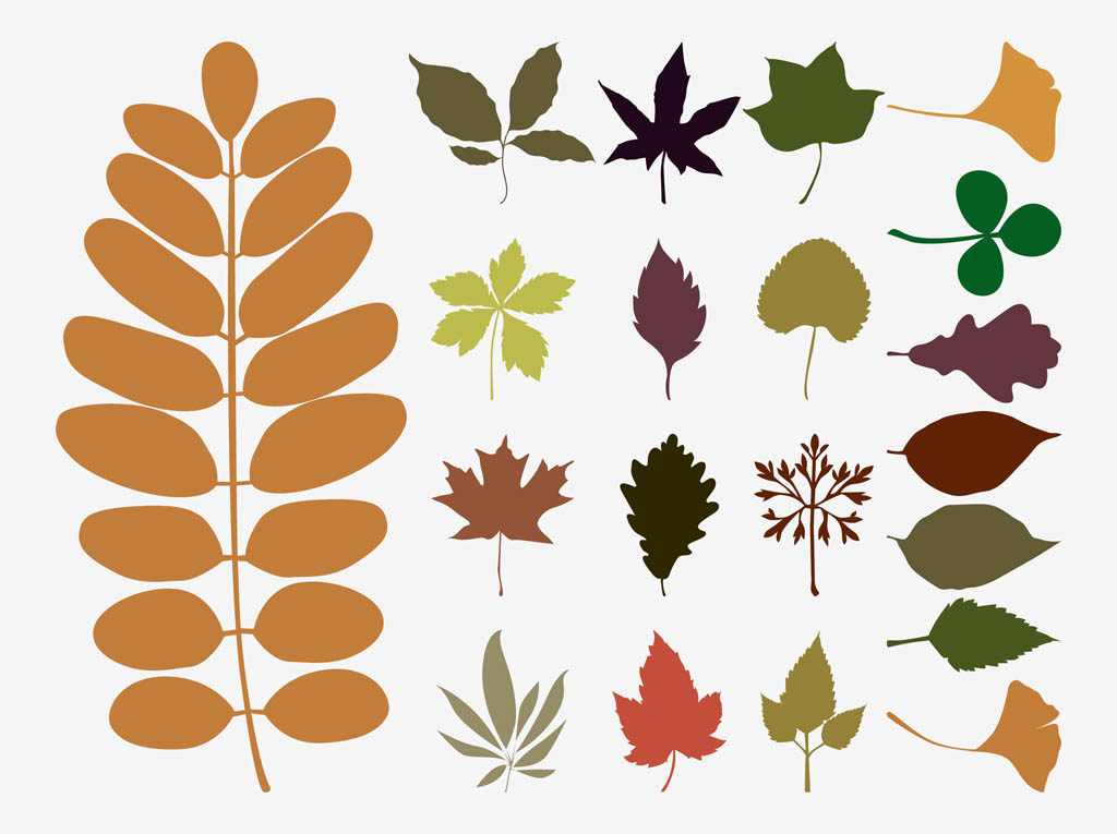 1024x765 Fall Leaves Vectors Vector Art Graphics