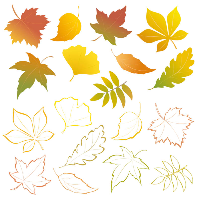 800x800 Fall Leaves Vector Vector Graphics Blog