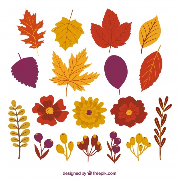 626x626 Autumn Leaves Vectors, Photos And Free Download