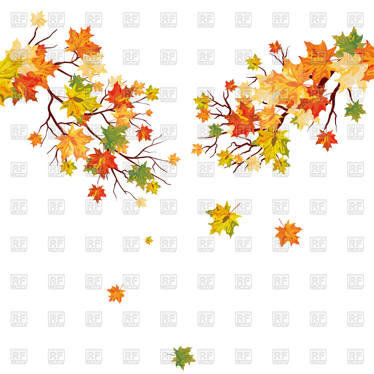 1200x1200 Autumn Maple Tree Branch With Falling Leaves Vector Image