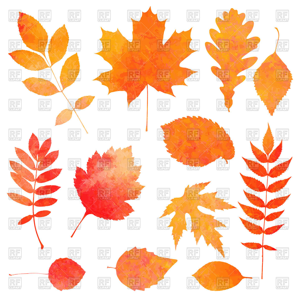 Collection Of Orange Watercolor Autumn Leaves Vector Image 1200x1200 Collection Of Orange Watercolor Autumn Leaves Vector Image