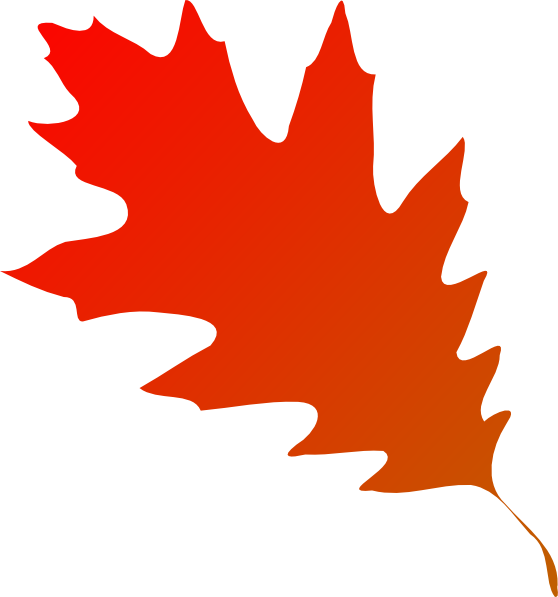 Fall Leaf Vector Clipart Images Gallery For Free Download Myreal 558x597 Fall Leaf Vector Clipart Images Gallery For Free Download Myreal
