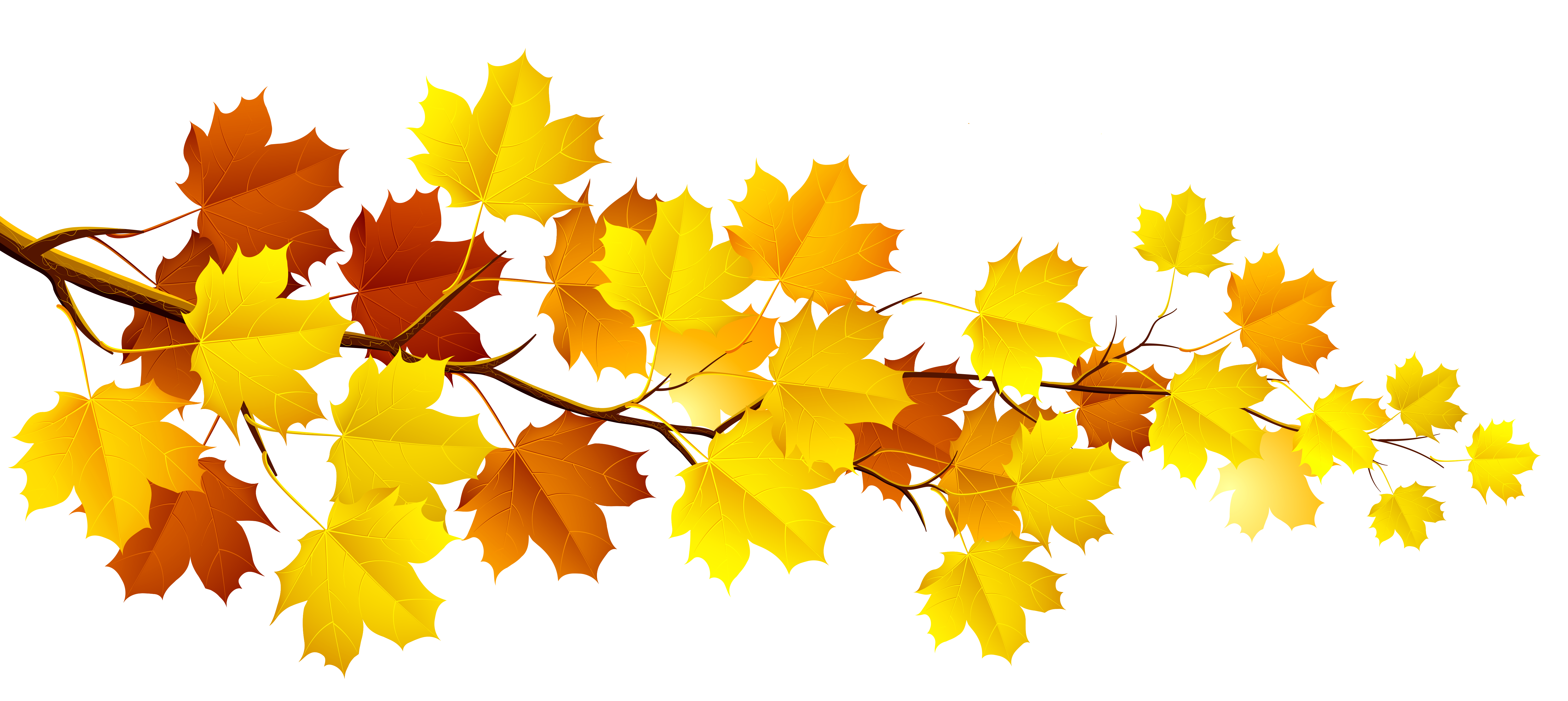 Fall Leaves Clipart Free Clipart Images Clipartcow Clipartix 5999x2681 Fall Leaves Clipart Free Clipart Images Clipartcow Clipartix