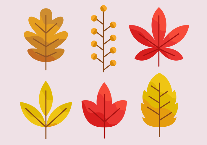 Free Autumn Leaves Vector 700x490 Free Autumn Leaves Vector