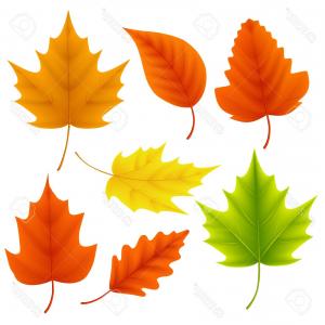 Free Autumn Leaves Vector Set Catchsplace 300x300 Free Autumn Leaves Vector Set Catchsplace