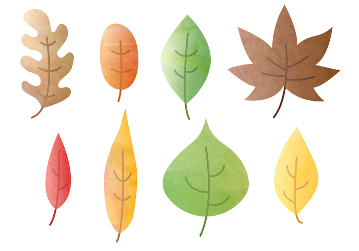 Free Watercolor Autumn Leaves Vector 700x490 Free Watercolor Autumn Leaves Vector