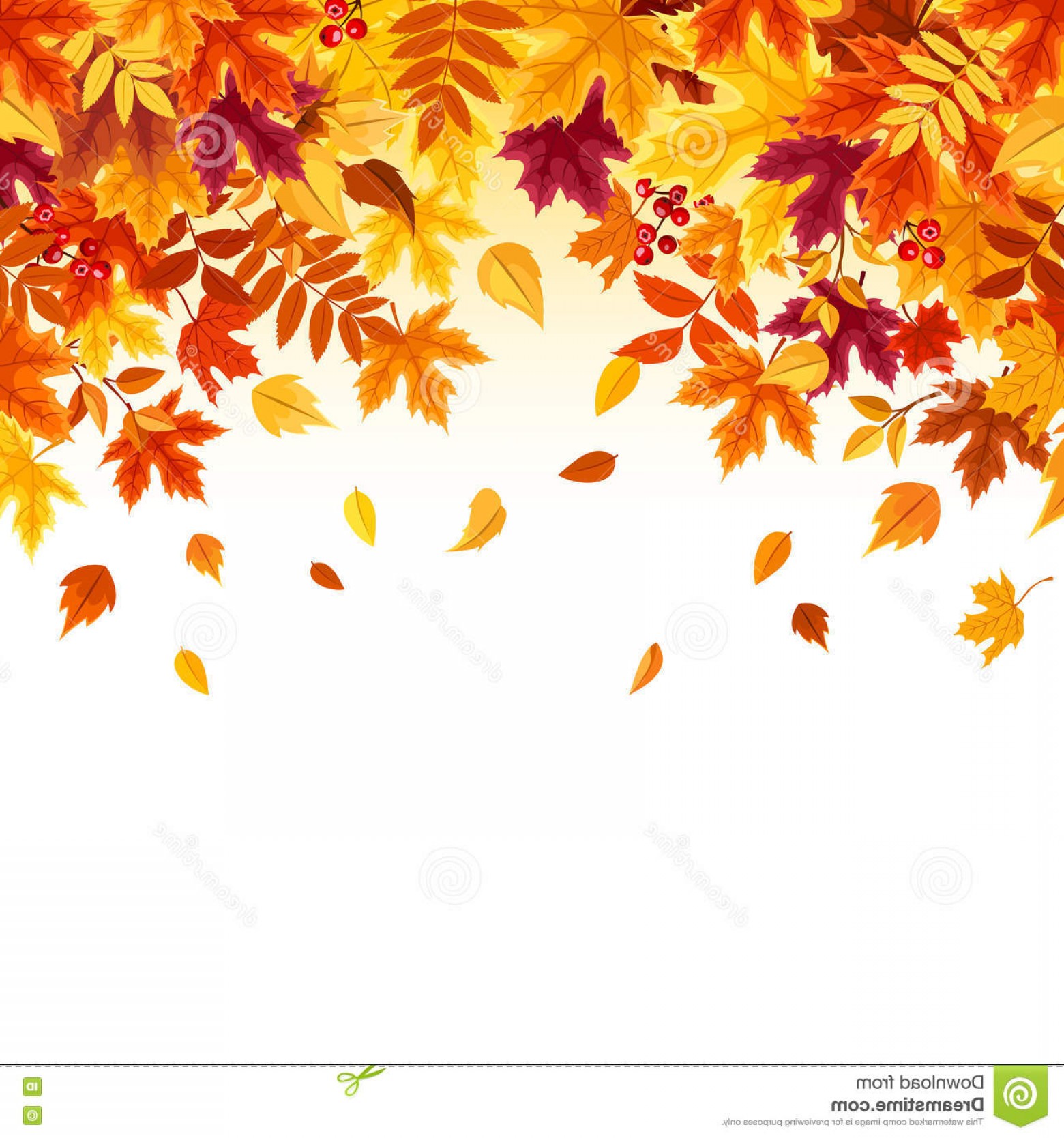Stock Illustration Background Colorful Falling Autumn Leaves 1560x1668 Stock Illustration Background Colorful Falling Autumn Leaves