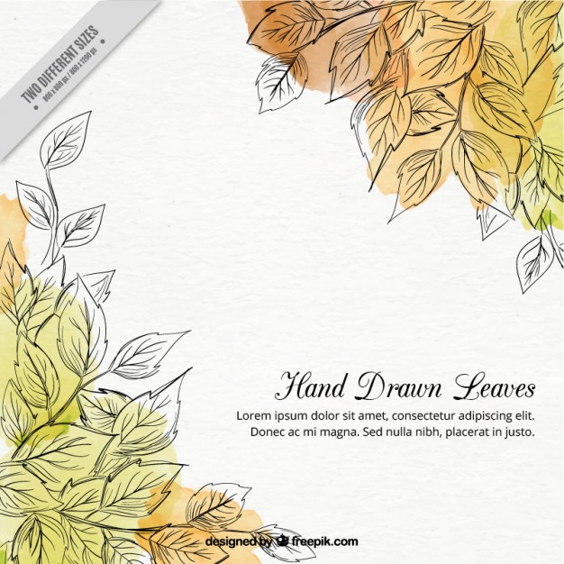 Vectors Of Leaves Free Vector Graphics Everypixel 626x626 Vectors Of Leaves Free Vector Graphics Everypixel