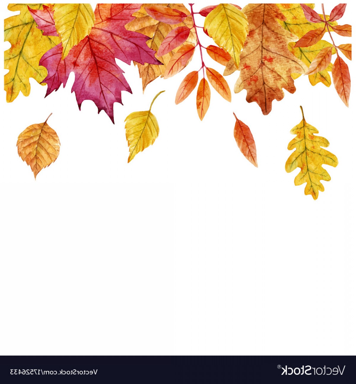 Watercolor Autumn Leaves Frame Vector Soidergi 1200x1296 Watercolor Autumn Leaves Frame Vector Soidergi
