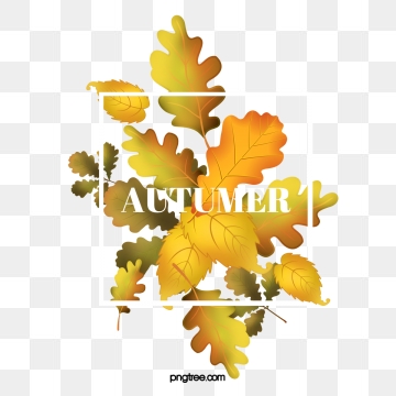 Autumn Leaves Png, Vector, And Clipart With Transparent 360x360 Autumn Leaves Png, Vector, And Clipart With Transparent