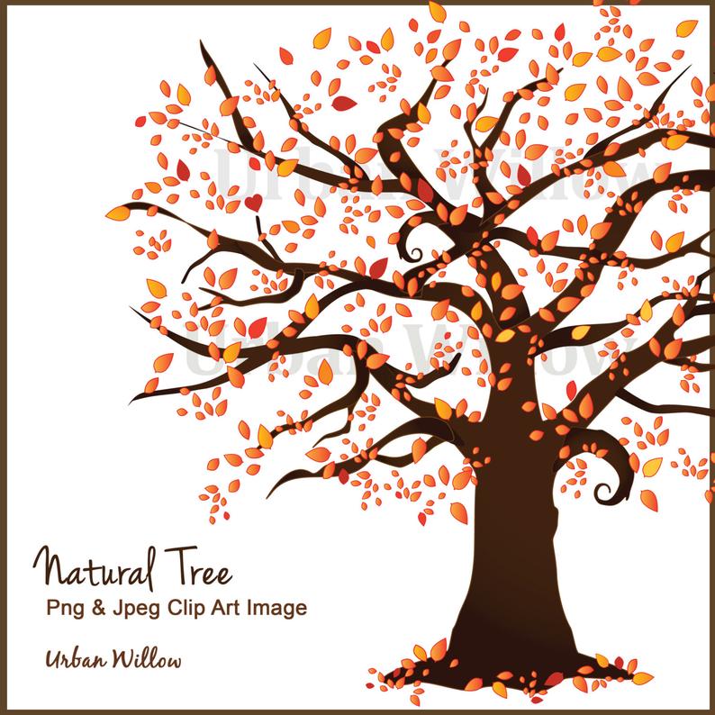 794x794 Fall Tree Clipart Clipart Autumn Tree Family Trees Tree Etsy