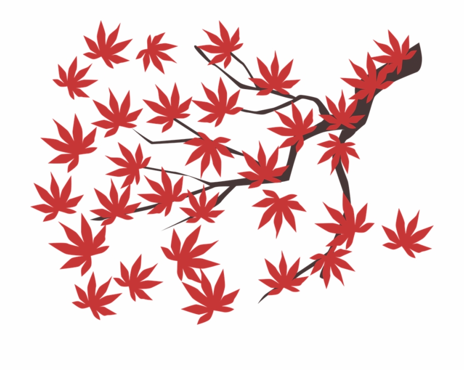 920x735 Maple Leaf Maple Leaf Autumn Red Fall Tree Plant