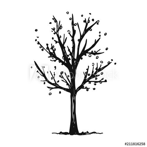 500x500 A Fall Tree With Leaves Falling Vector Isolated