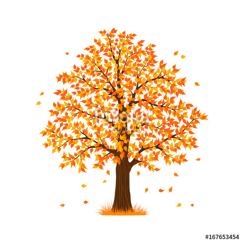 500x500 Autumn Fall Tree Stock Image And Royalty Free Vector