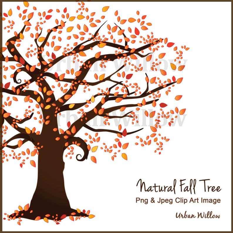 794x794 Beautiful Tree Clipart Autumn Tree Scrapbook Trees Vector Etsy