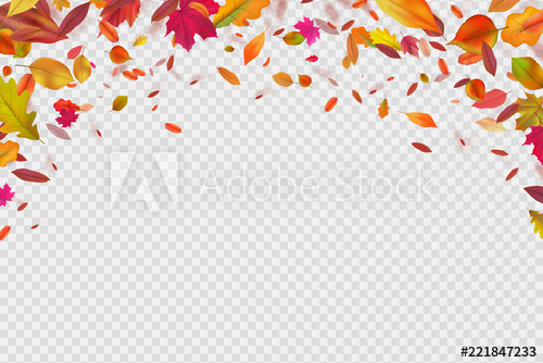 500x334 Autumn Falling Leaves Autumnal Forest Foliage Fall Vector