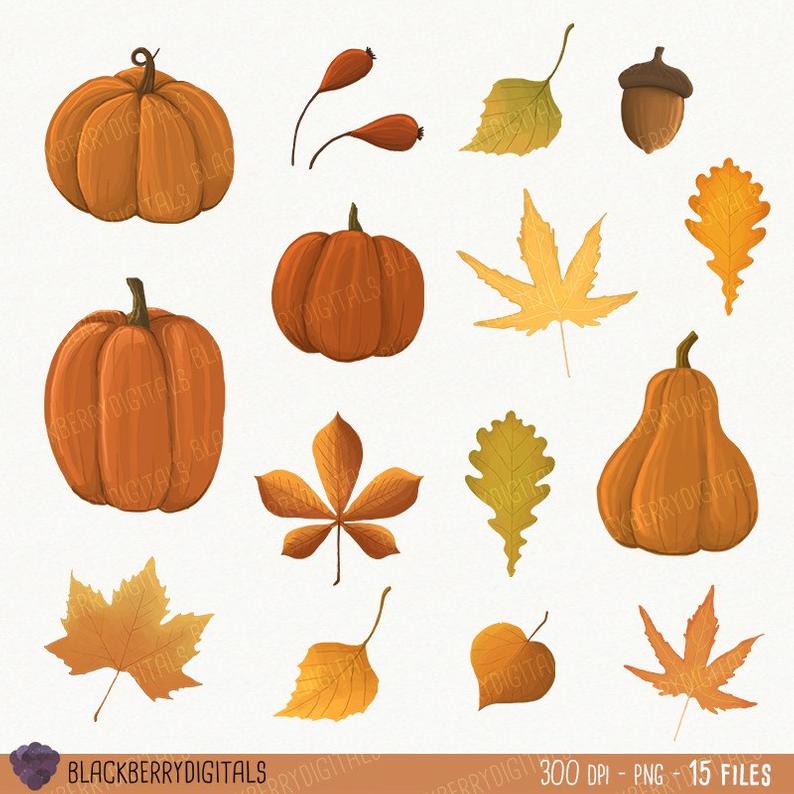 794x794 Fall Clipart Set Fall Clip Art Images Fall Vector Autumn Etsy