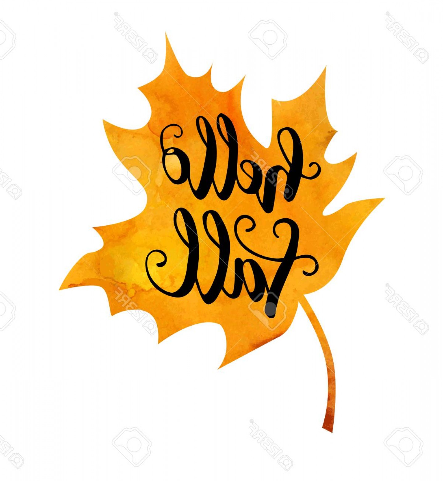 1438x1560 Fall Vector Hoodamathrun