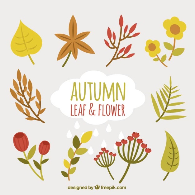 626x626 Colorful Flowers And Leaves To Celebrate The Fall Vector Free