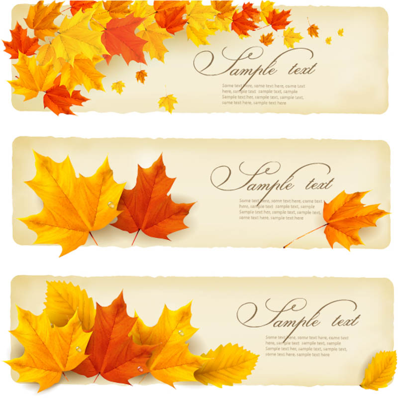 800x800 Fall Vector Graphics Images