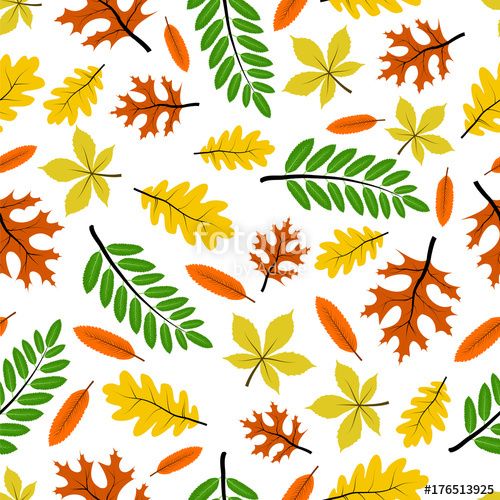 500x500 Autumn, Leaves, Pattern, Leaf, Background, Fall, Vector, Seamless