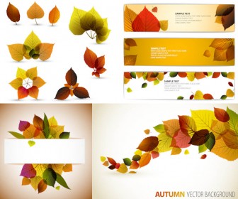 336x280 Cards Free Stock Vector Art Illustrations, Cdr