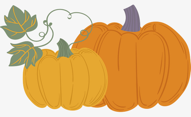 650x400 Download Free Png Pumpkins Mature In The Fall, Vector Png, Pumpkin