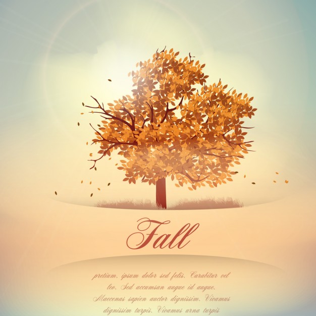 626x626 Autumn Background, Leaf Fall Vector Free Download