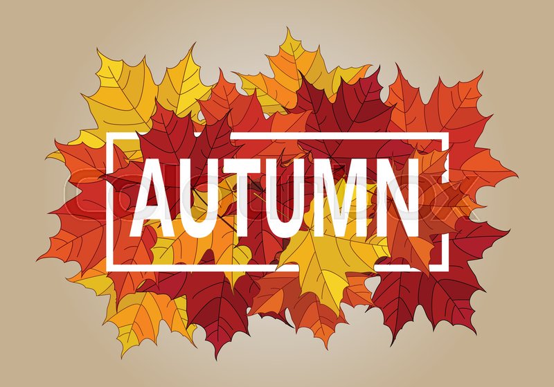 800x559 Autumn Vector Banner Pile Of Leaves Stock Vector Colourbox