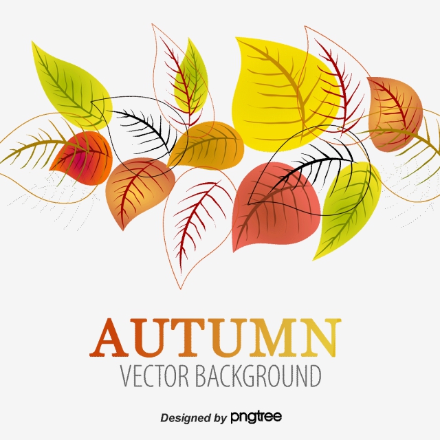 640x640 Fall, Maple Leaf, Fall Vector Png And Vector With Transparent
