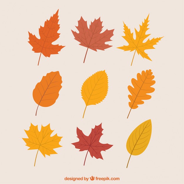 Fall Vector Images at Vectorified.com | Collection of Fall Vector ...