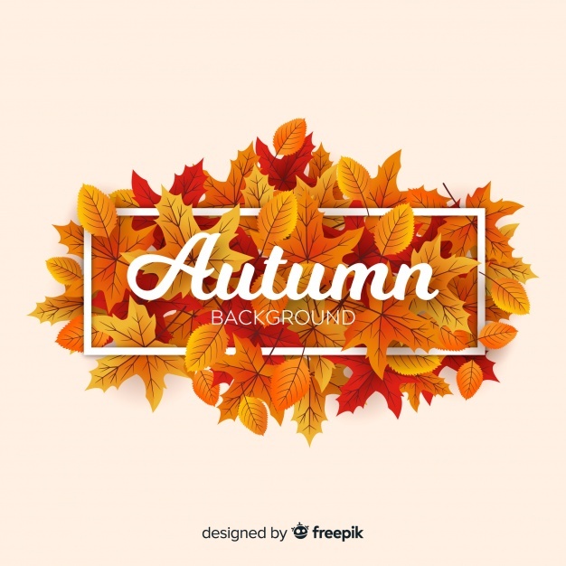 626x626 Autumn Vectors, Photos And Free Download