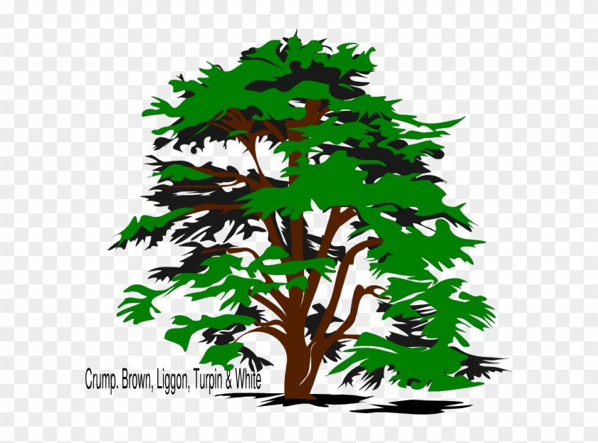 840x623 Family Reunion Tree Png Transparent Family Reunion