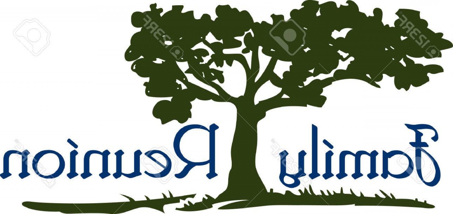 1560x736 Photostock Vector This Beautiful Image Is Perfect